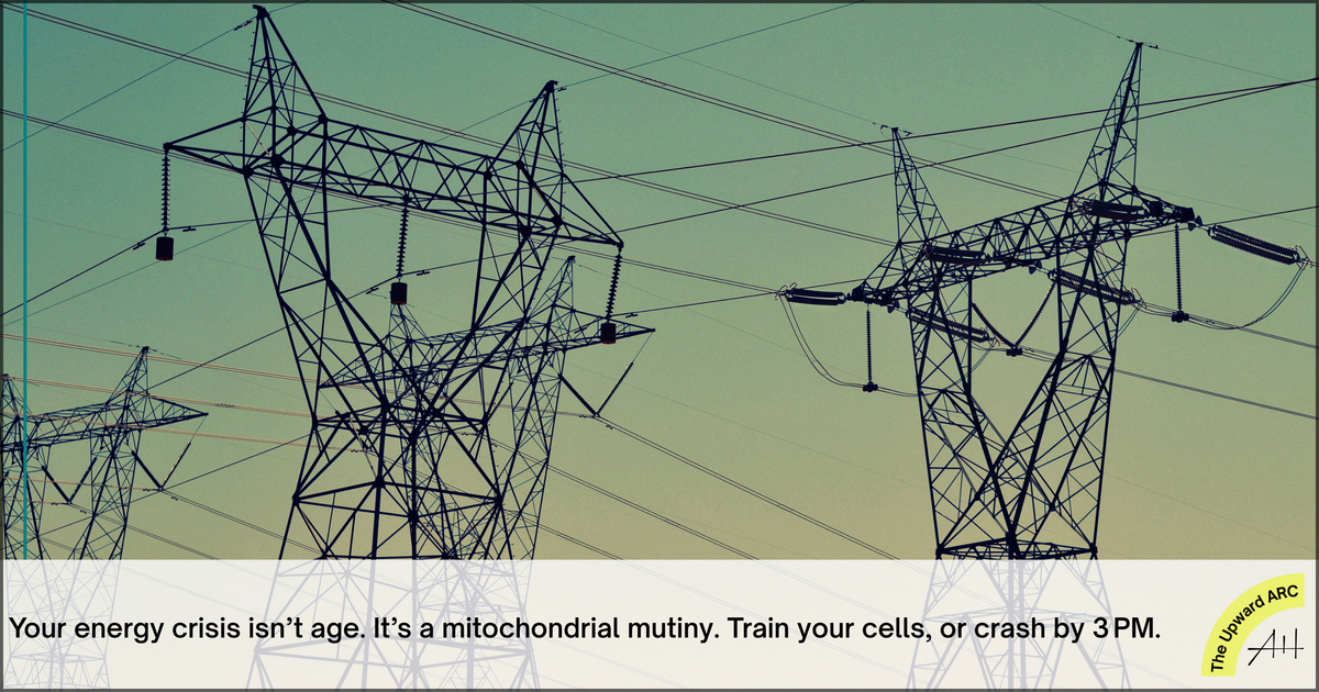 The Mitochondria Mistake: Why Your 3PM Energy Crash Isn’t Normal and How to Fix It