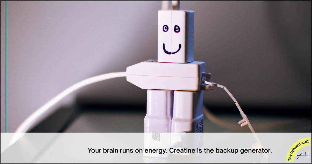 Creatine and Brain Health: The 5-Gram Daily Habit Every Professional Should Know